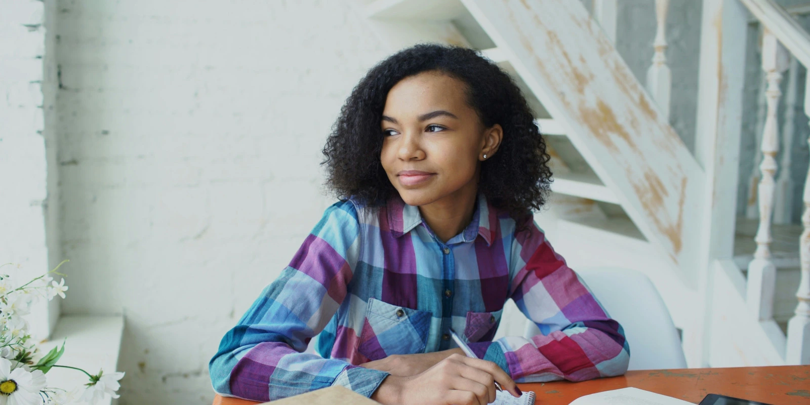 BUT SGM en France : Institutions et Programmes