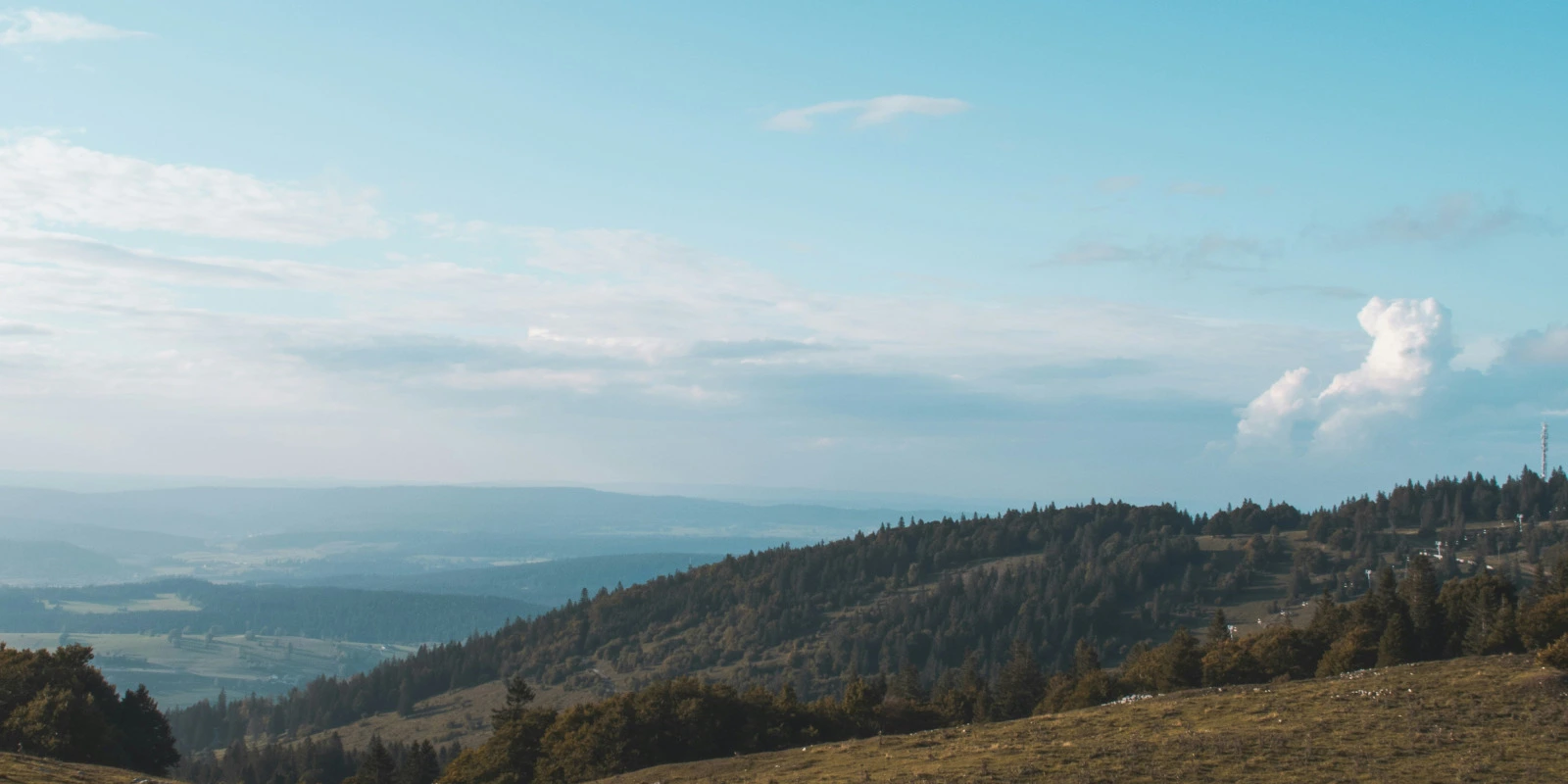 Les Débouchés du BUT SGM à Chambéry